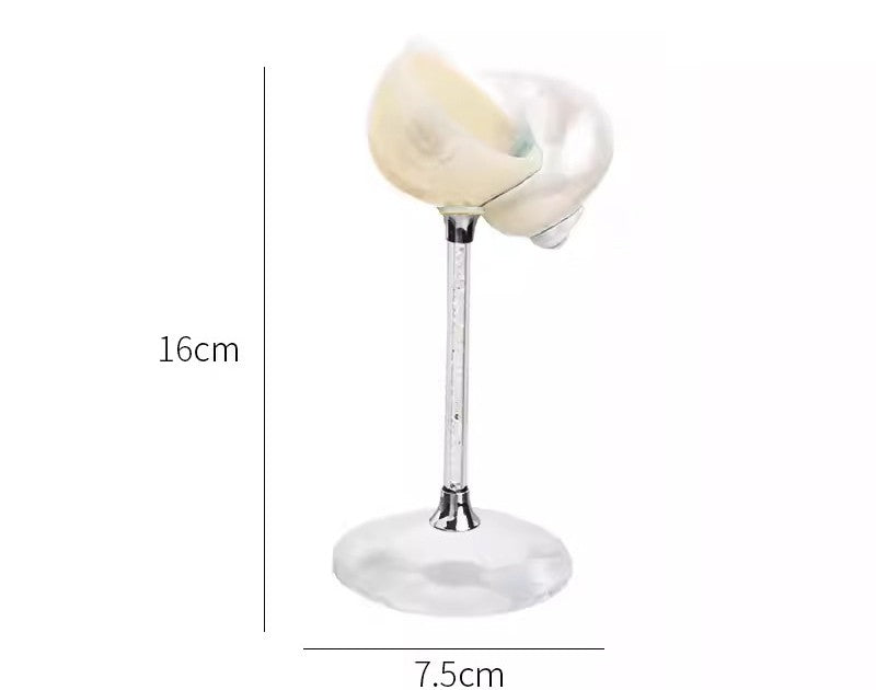 Handmade Luxury Shell Wine Glasses Set of 2, Natural White Seashell Crystal Stem Goblets, Creative Champagne Glasses for Home Bar and Gift