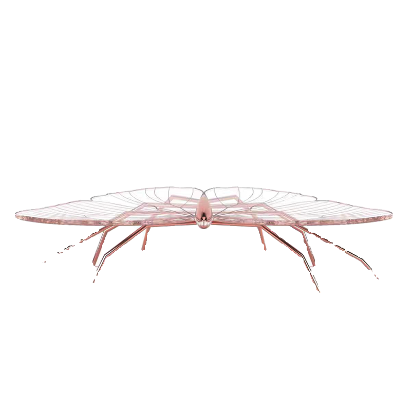 Designer Butterfly Acrylic Coffee Table, Pink Transparent Modern Art-Inspired Center Table, Luxury Living Room Statement Piece