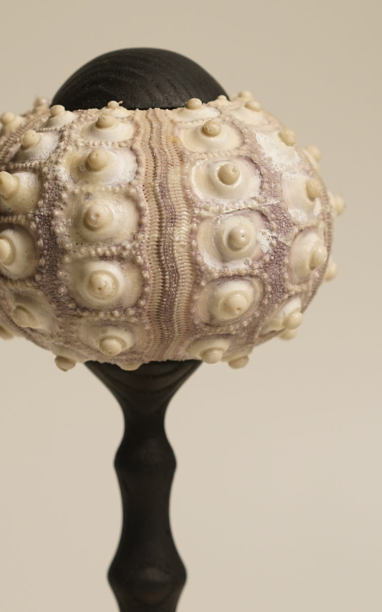 Handmade Sea Urchin Table Lamp, USB Rechargeable Black Wood Ambient Light, Touch Dimmable Modern Vintage Night Light for Bedroom, Living Room, Gifts