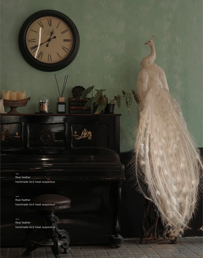 Luxury White Peacock Replica – Real Feather Home Décor, Bird Taxidermy Model, Art Photography Prop