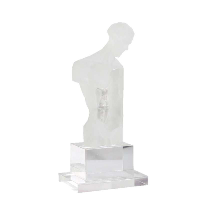 Modern Transparent Resin David Venus Abstract Statue – Sales Office, Living Room, Soft Furnishing, Artistic Decor