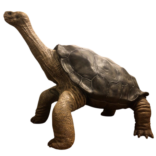 Life Size Giant Tortoise Statue, Realistic Galapagos Tortoise Sculpture, Hand Painted Turtle Model for Museum Display, Garden Decor, Zoo Exhibit, Living Room or Commercial Space