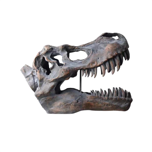 Tyrannosaurus Rex Skull Replica, Dinosaur Fossil Head Sculpture, Realistic T Rex Skull Decor for Desk, Shelf, Office, Museum Style Display and Dinosaur Lover Gift