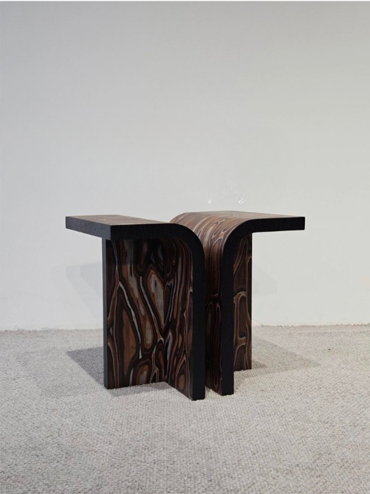 Modern Sculptural Wood Side Table, Artistic Veneer End Table with Ash Wood Frame, Irregular Accent Table for Living Room, Sofa Side Table, Small Coffee Table, Organic Nightstand