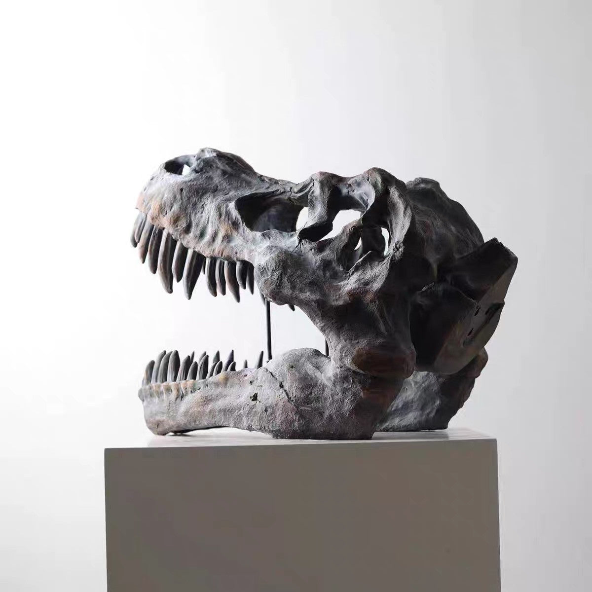 Tyrannosaurus Rex Skull Replica, Dinosaur Fossil Head Sculpture, Realistic T Rex Skull Decor for Desk, Shelf, Office, Museum Style Display and Dinosaur Lover Gift