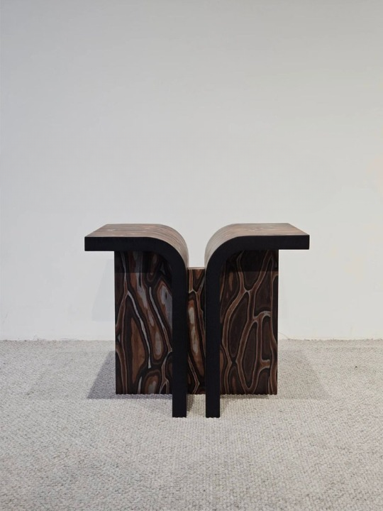 Modern Sculptural Wood Side Table, Artistic Veneer End Table with Ash Wood Frame, Irregular Accent Table for Living Room, Sofa Side Table, Small Coffee Table, Organic Nightstand