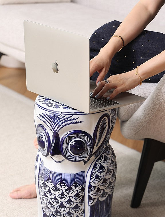 Blue and White Porcelain Owl Garden Stool, Traditional Asian Ceramic Multi-Purpose Stool, Decorative Side Table for Living Room & Entryway