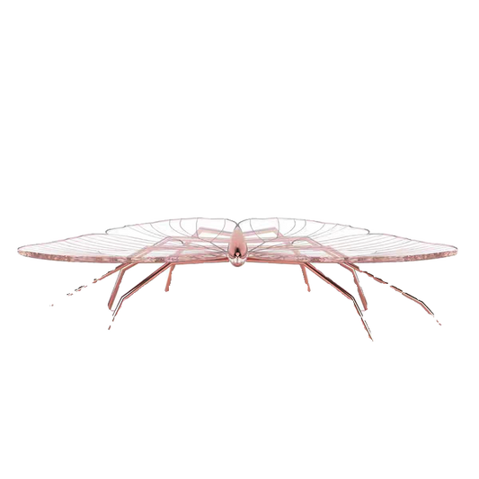 Designer Butterfly Acrylic Coffee Table, Pink Transparent Modern Art-Inspired Center Table, Luxury Living Room Statement Piece