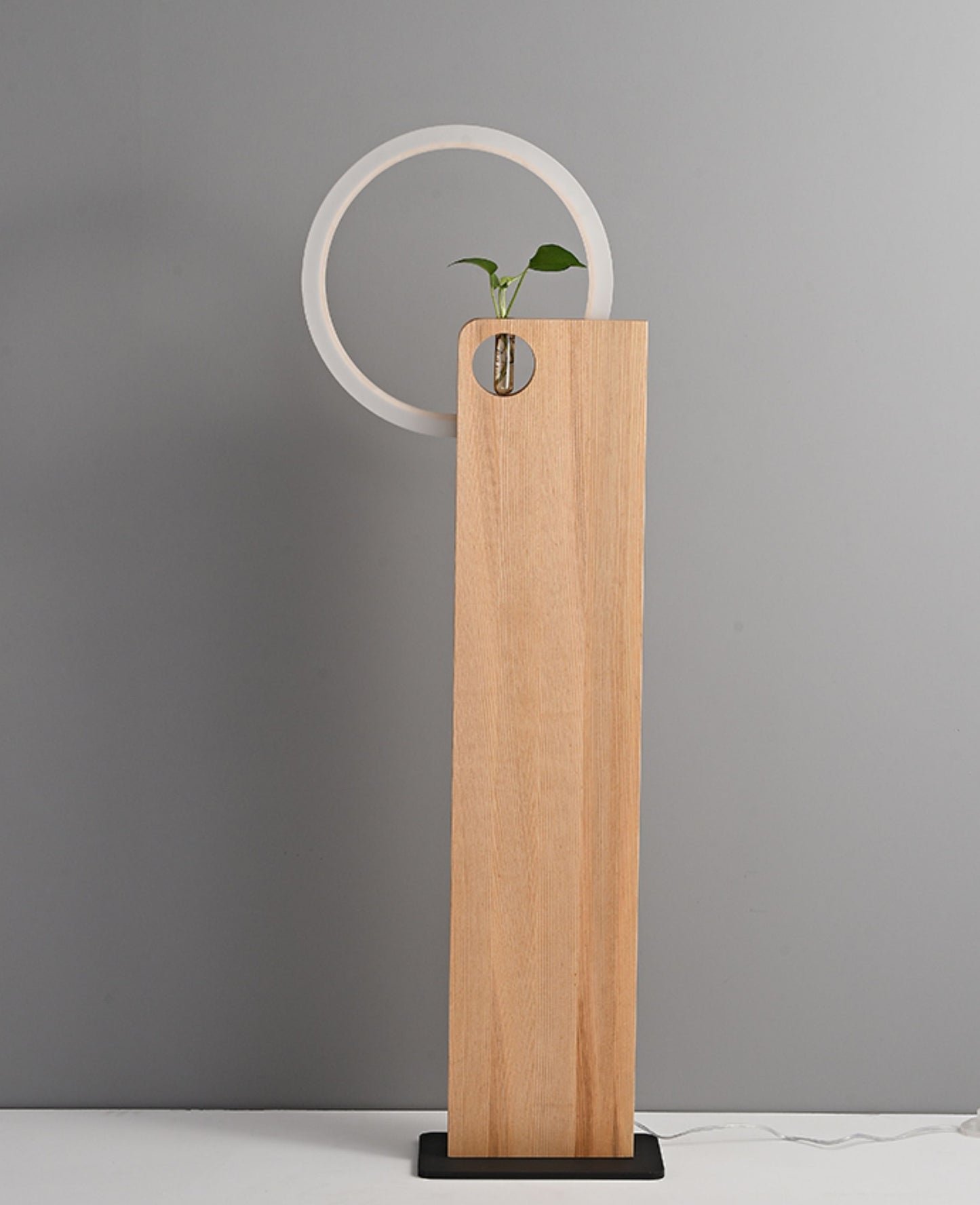 Modern Floor Lamp with Wooden LED Ring, Minimalist Solid Wood Plant Stand Accent Light, Decorative Tall Standing Lamp for Living Room, Bedroom, Study