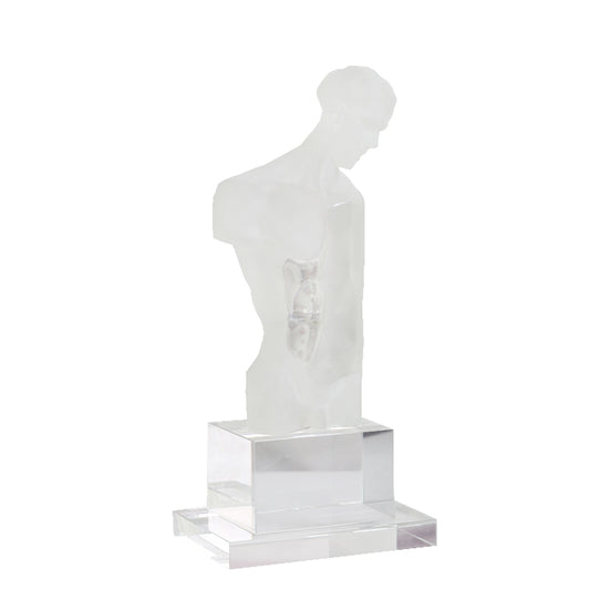 Modern Transparent Resin David Venus Abstract Statue – Sales Office, Living Room, Soft Furnishing, Artistic Decor