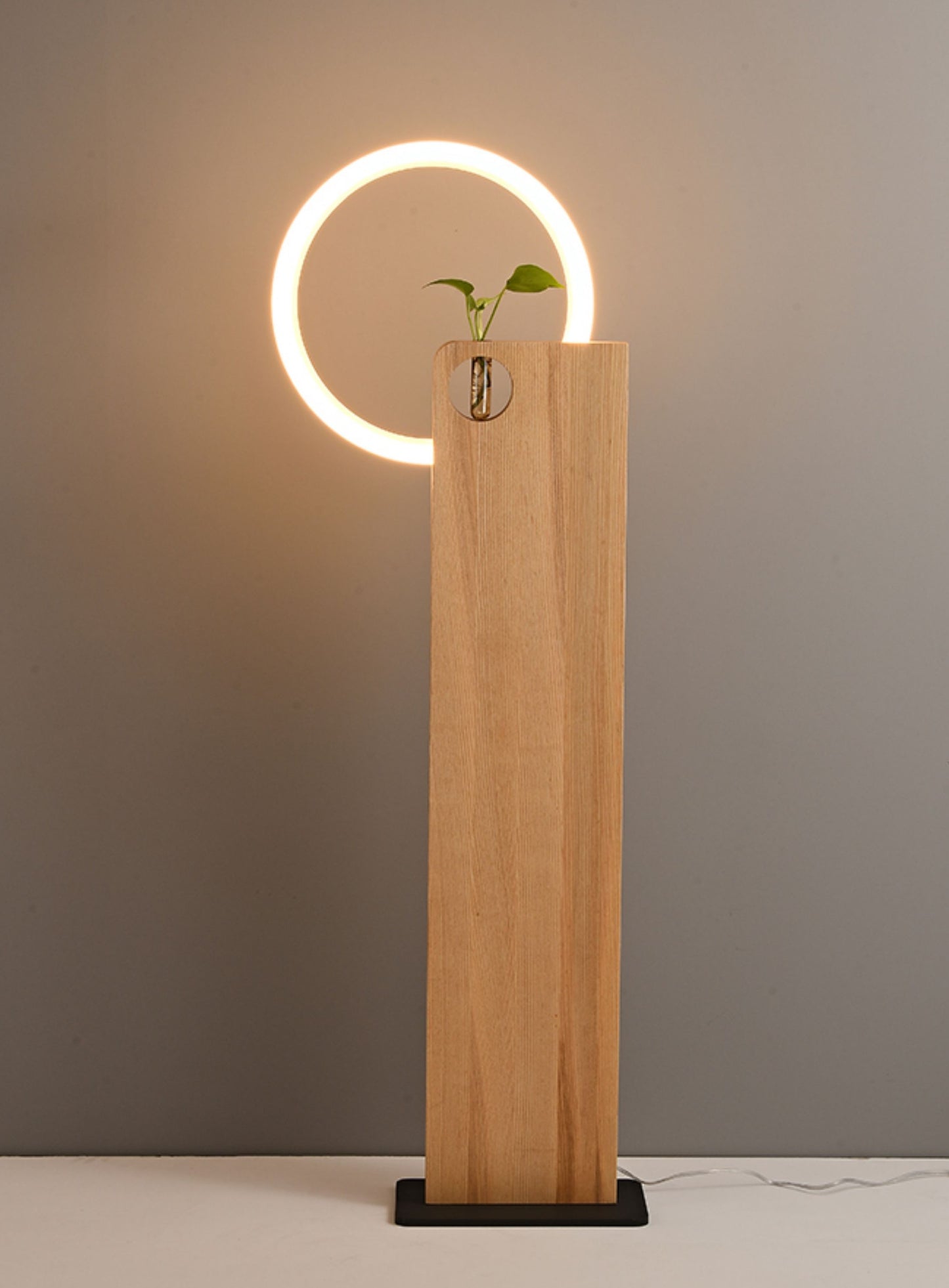 Modern Floor Lamp with Wooden LED Ring, Minimalist Solid Wood Plant Stand Accent Light, Decorative Tall Standing Lamp for Living Room, Bedroom, Study